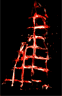 spinne